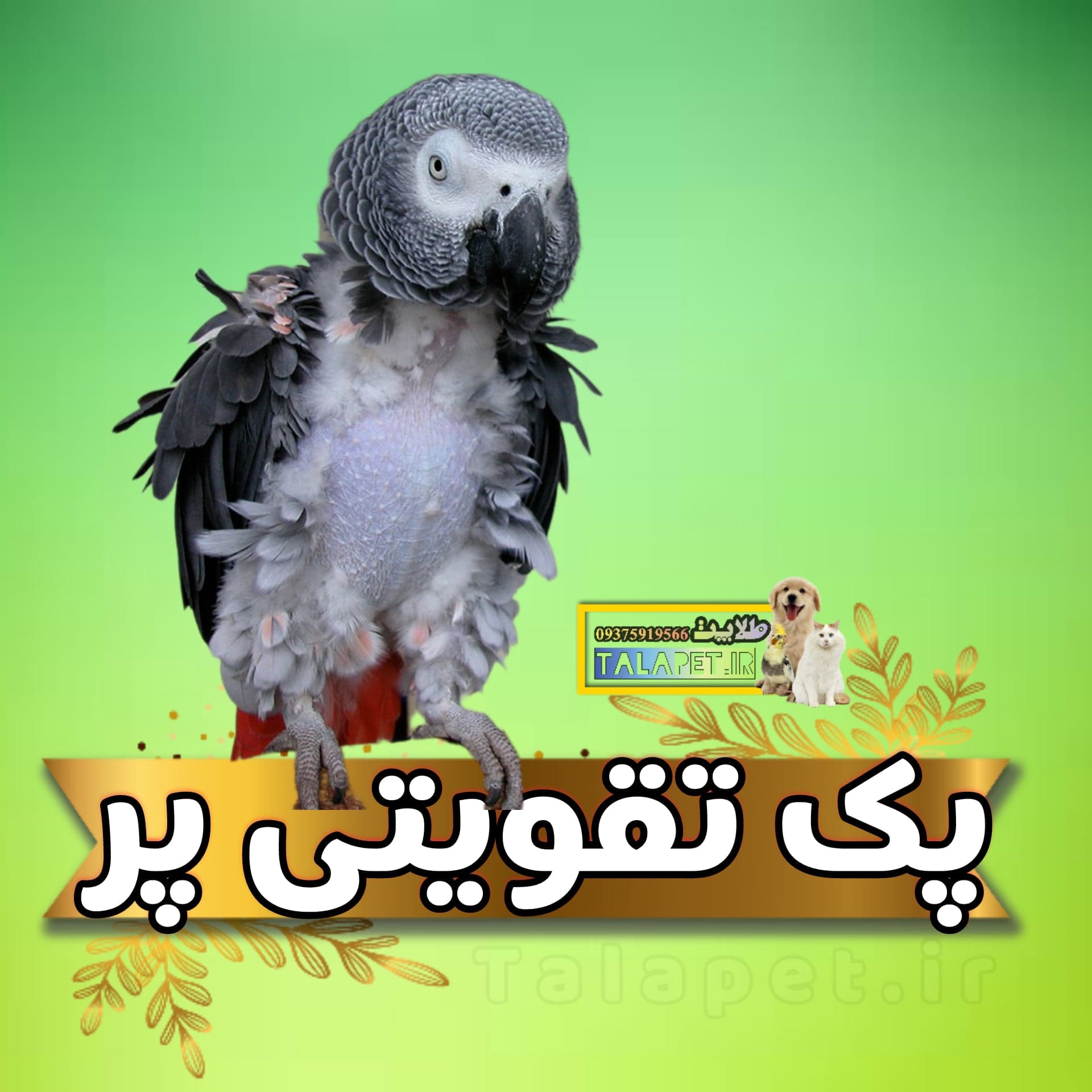 پک محصولات تقویت پر های طوطیسانان و انواع پرندگان — تصویر ۲