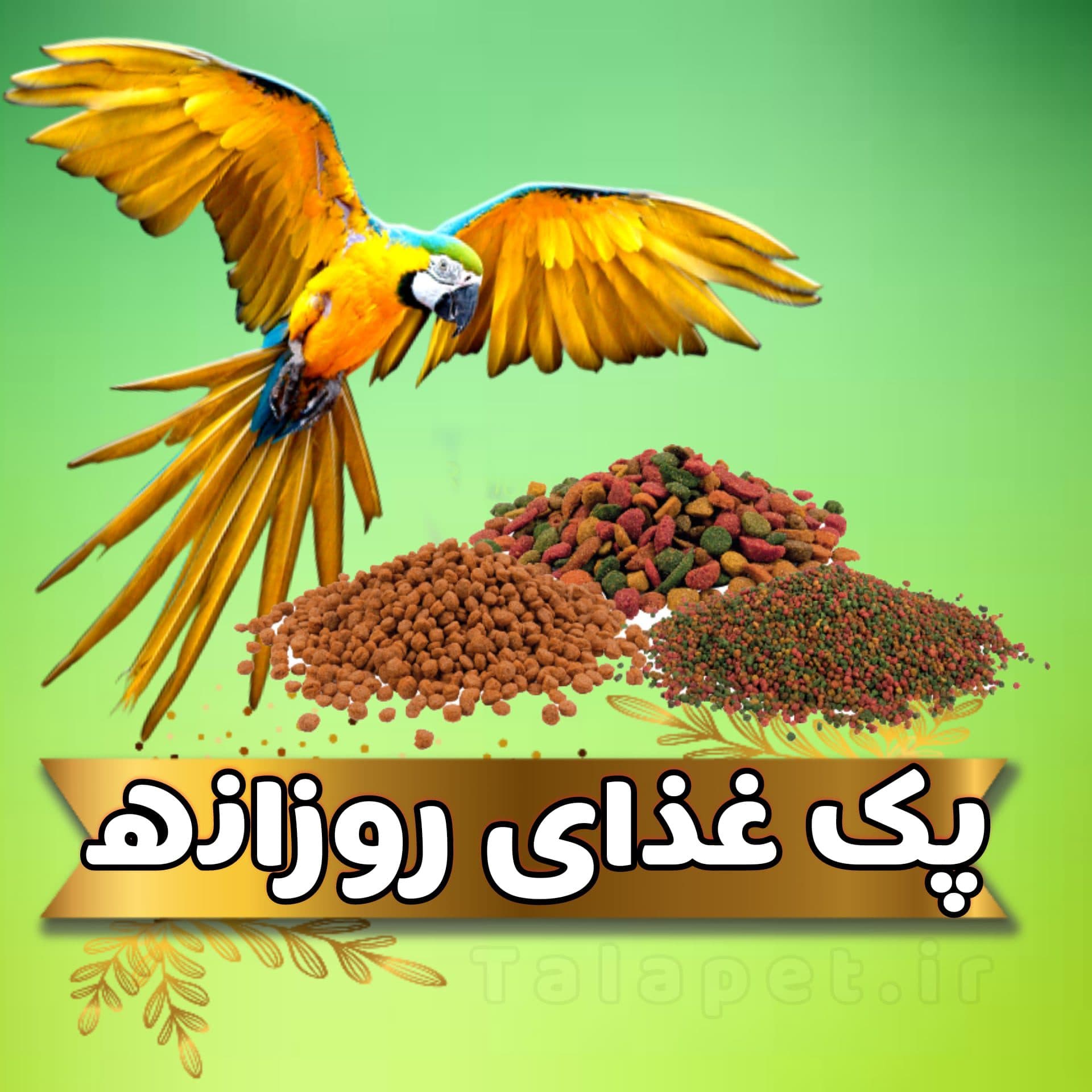 پک غذای روزانه طوطیسانان و انواع پرندگان — تصویر ۲