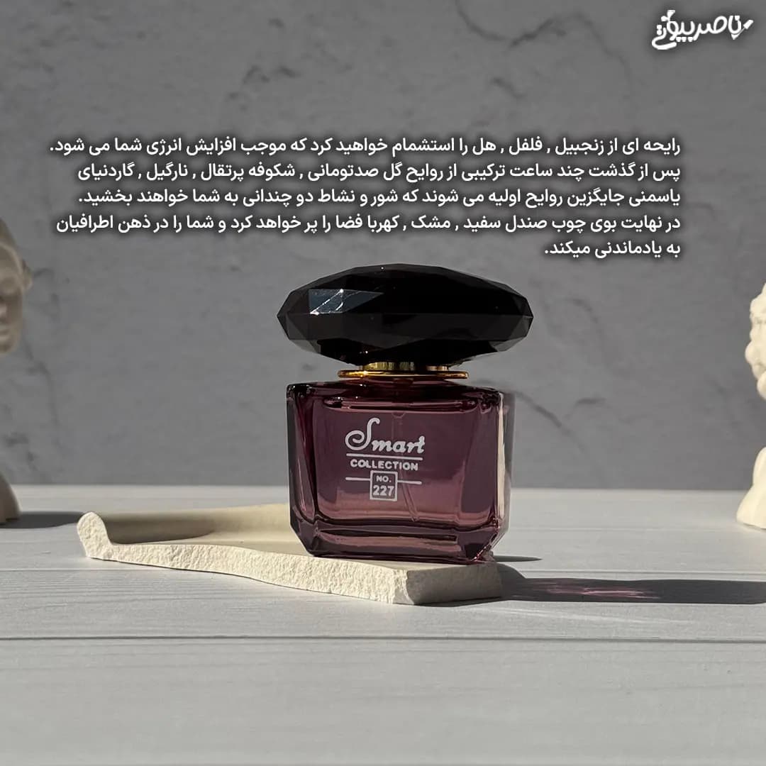 عطر ورساچه کریستال نویر اسمارت کالکشن کد ۲۲۷ Versace Crystal Noir — تصویر ۲