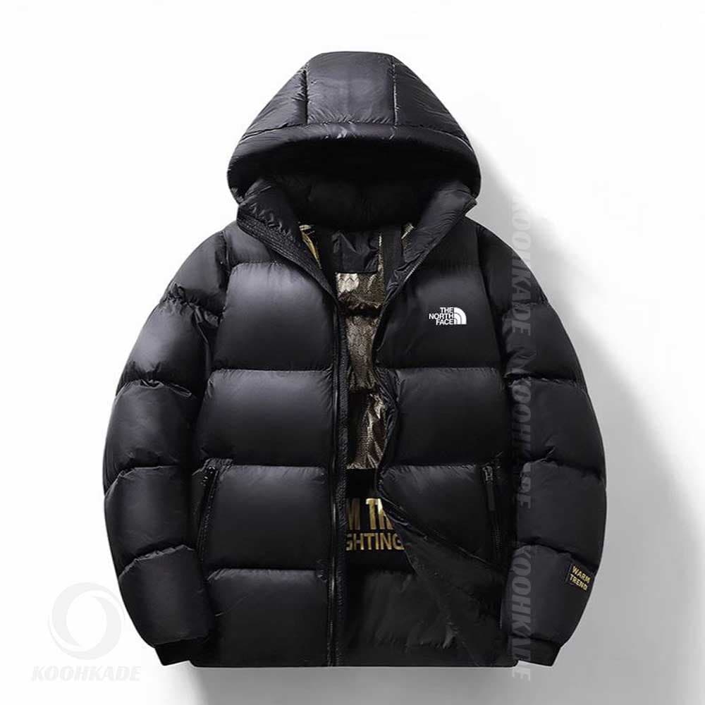کاپشن مردانه The North Face مدل NB7