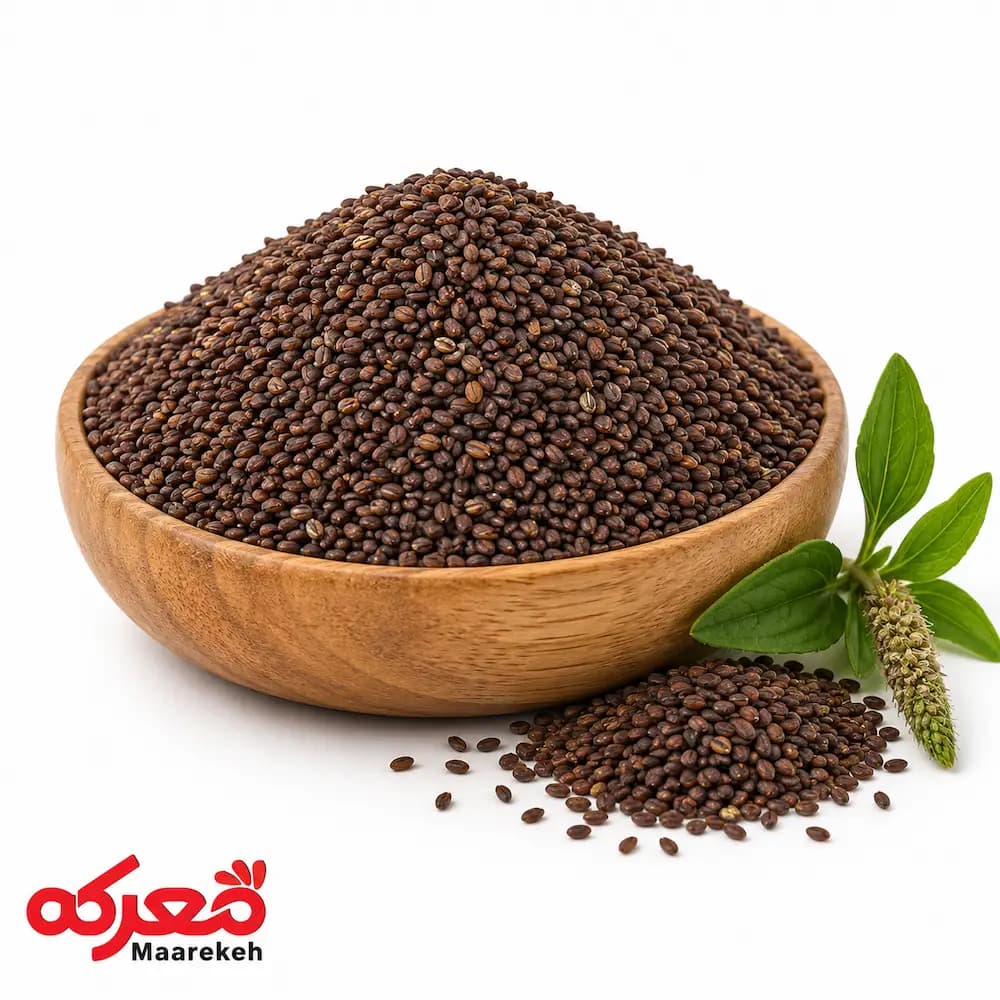 بارهنگ اعلا – درمان طبیعی معده و سرفه با بارهنگ اصل