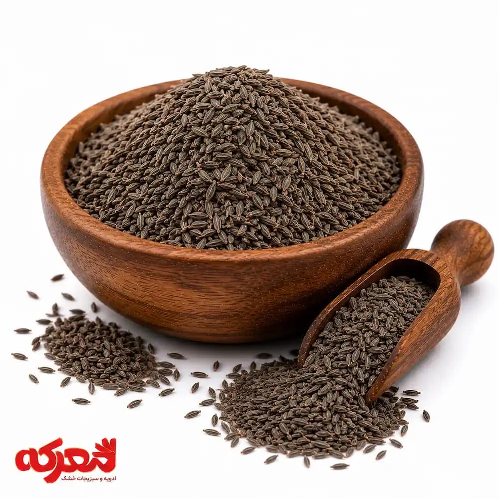دان زیره سیاه