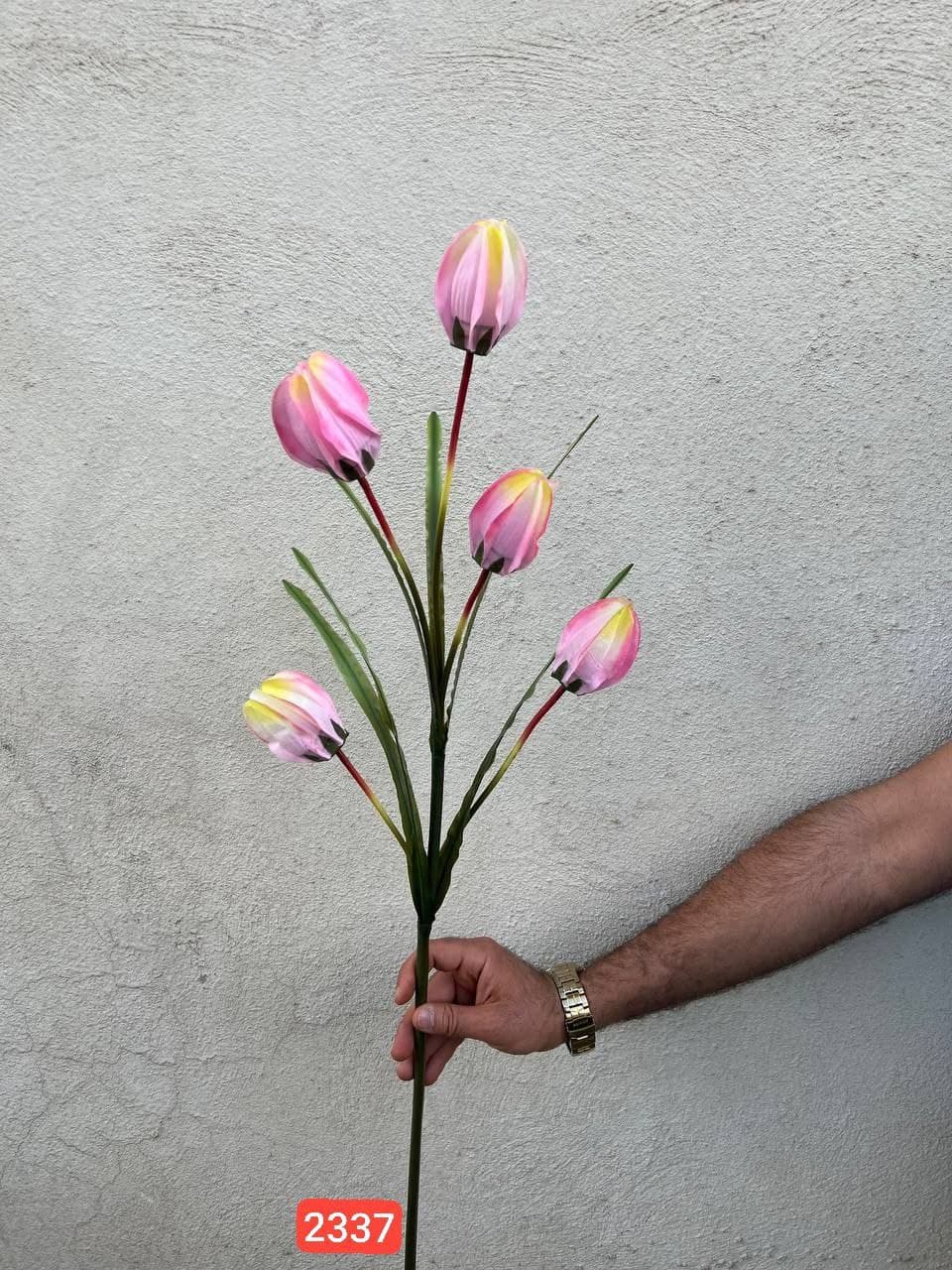 شاخه لاله آناناسی ۵ گل (پک 12تایی )