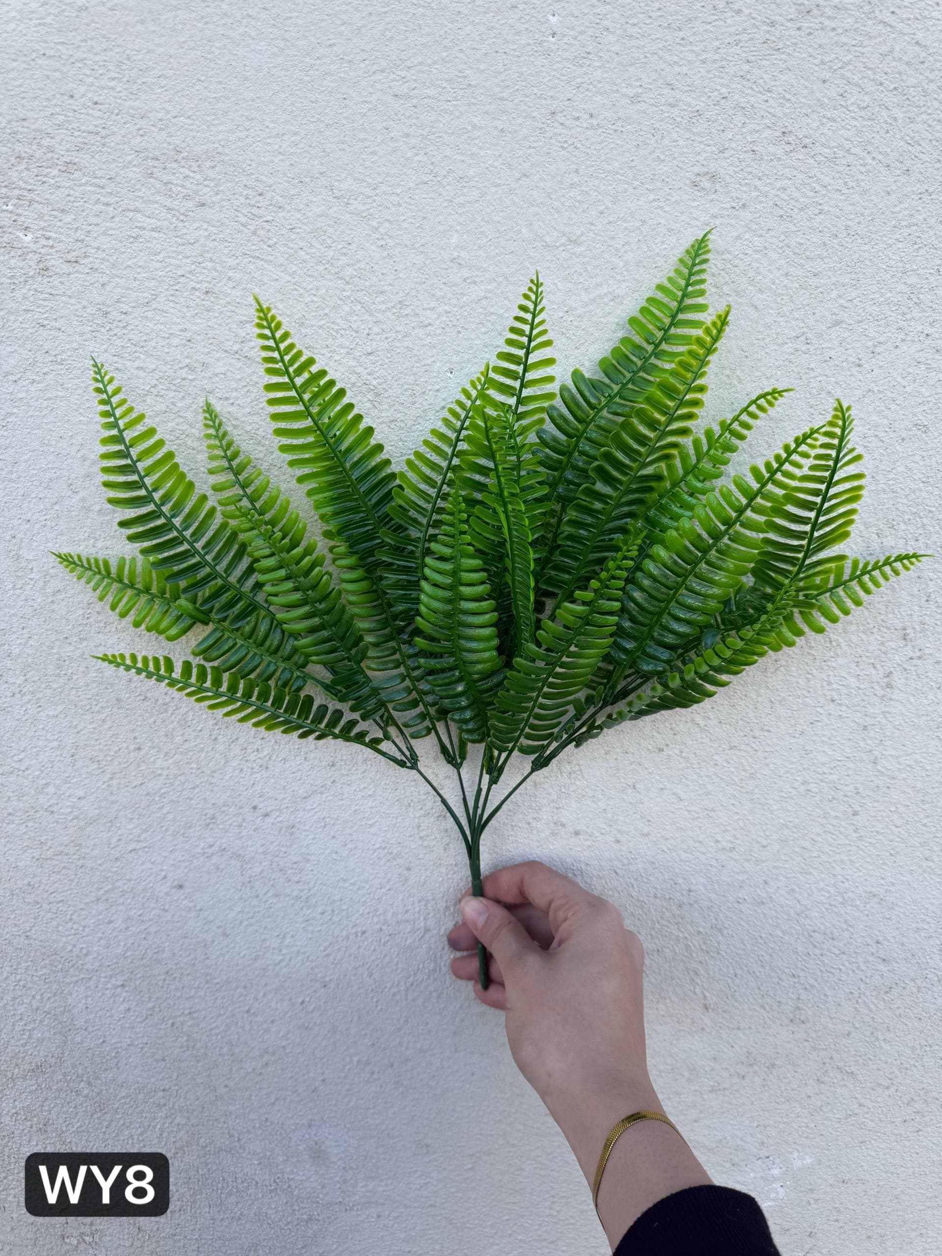 بوته سرخس لمسی ۵ بازو