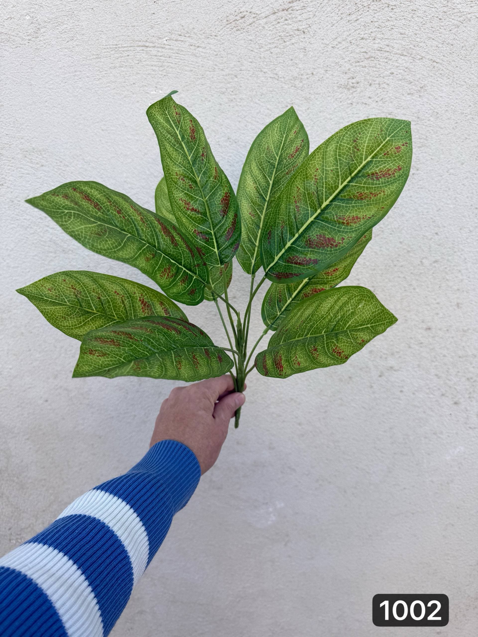 بوته باکسی ۹ برگ — تصویر ۳