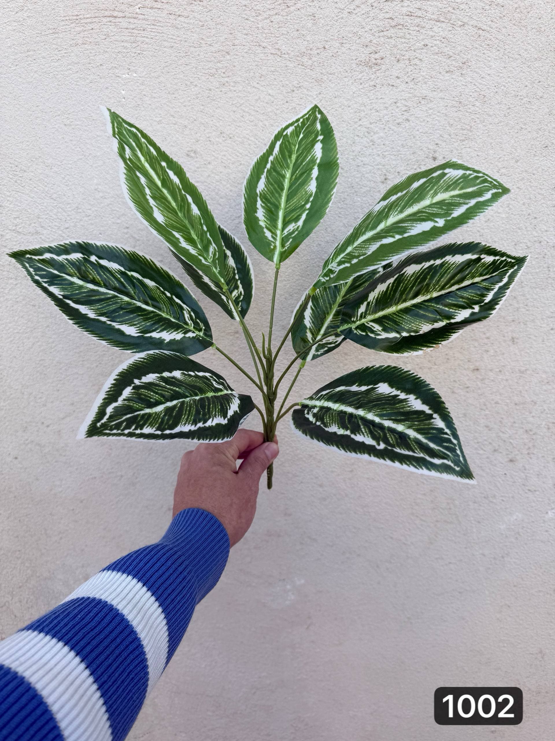 بوته باکسی ۹ برگ — تصویر ۲