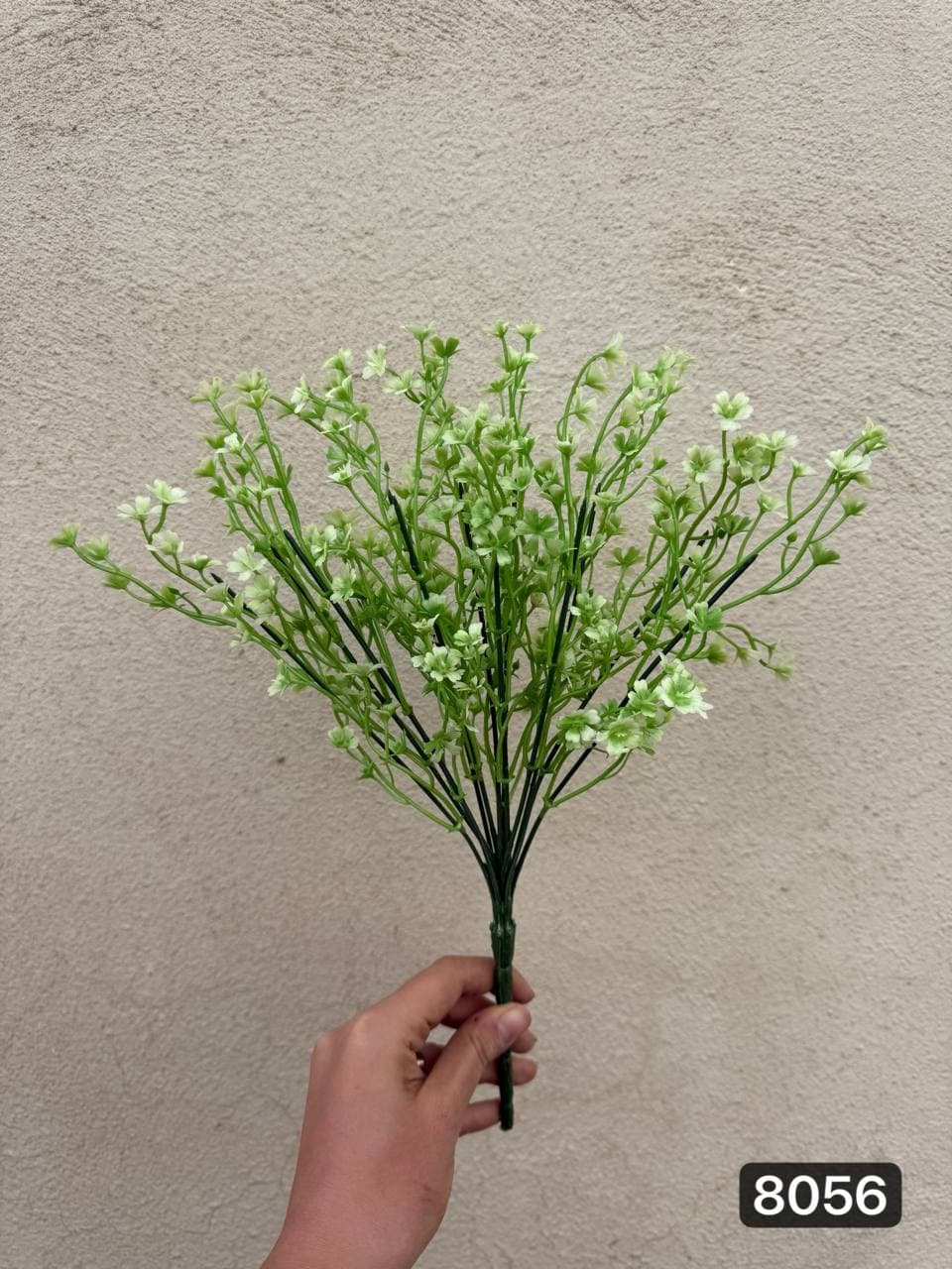 بوته شکوفه جعفری — تصویر ۲