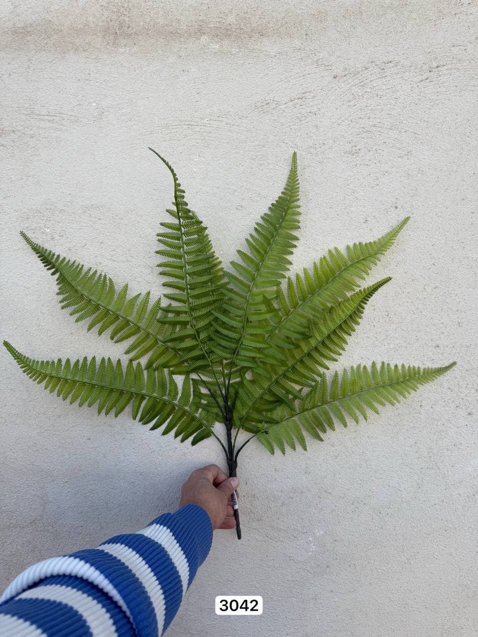 بوته سرخس لمسی وارداتی 8 برگ