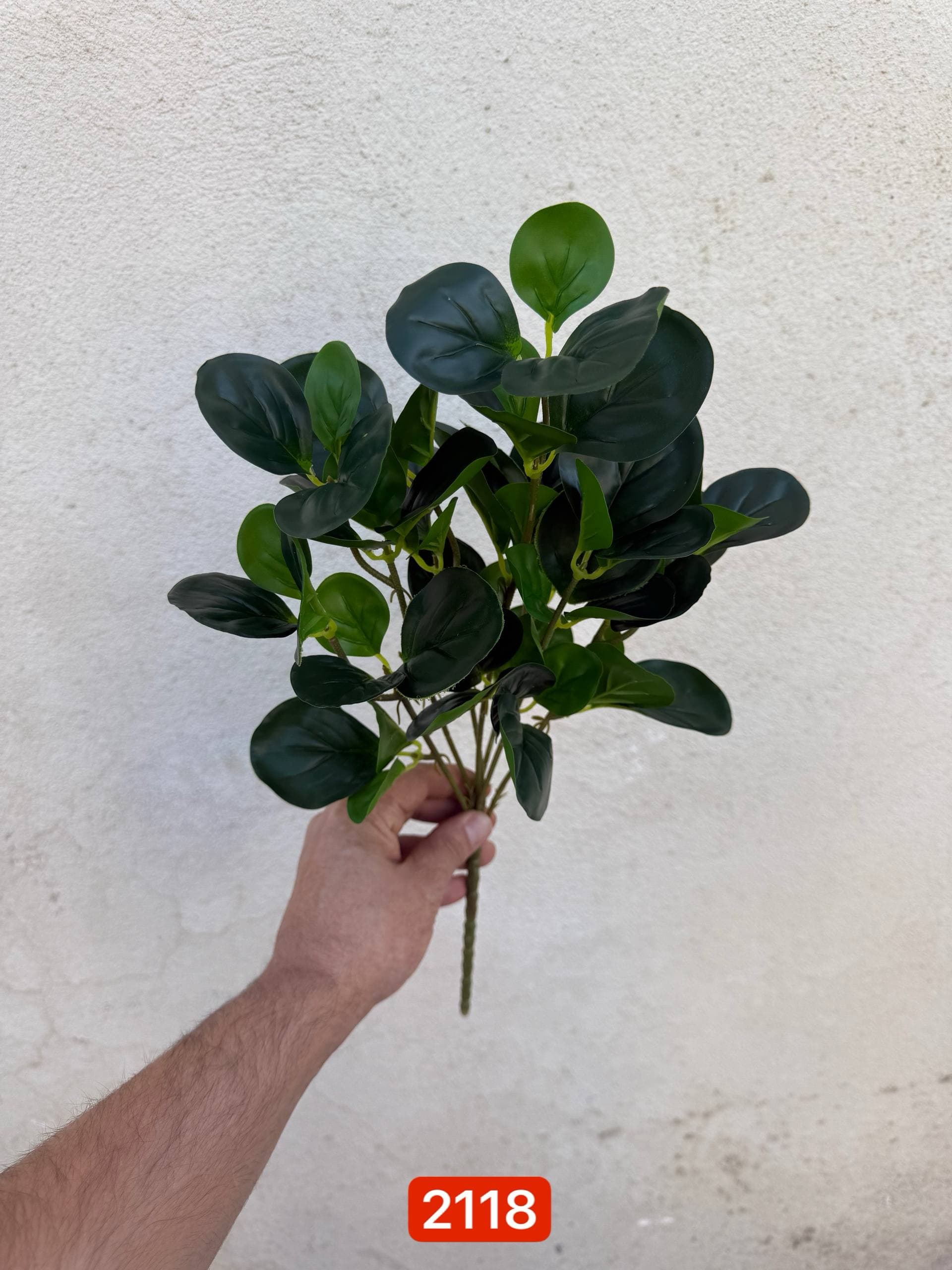 بوته قاشقی بلند