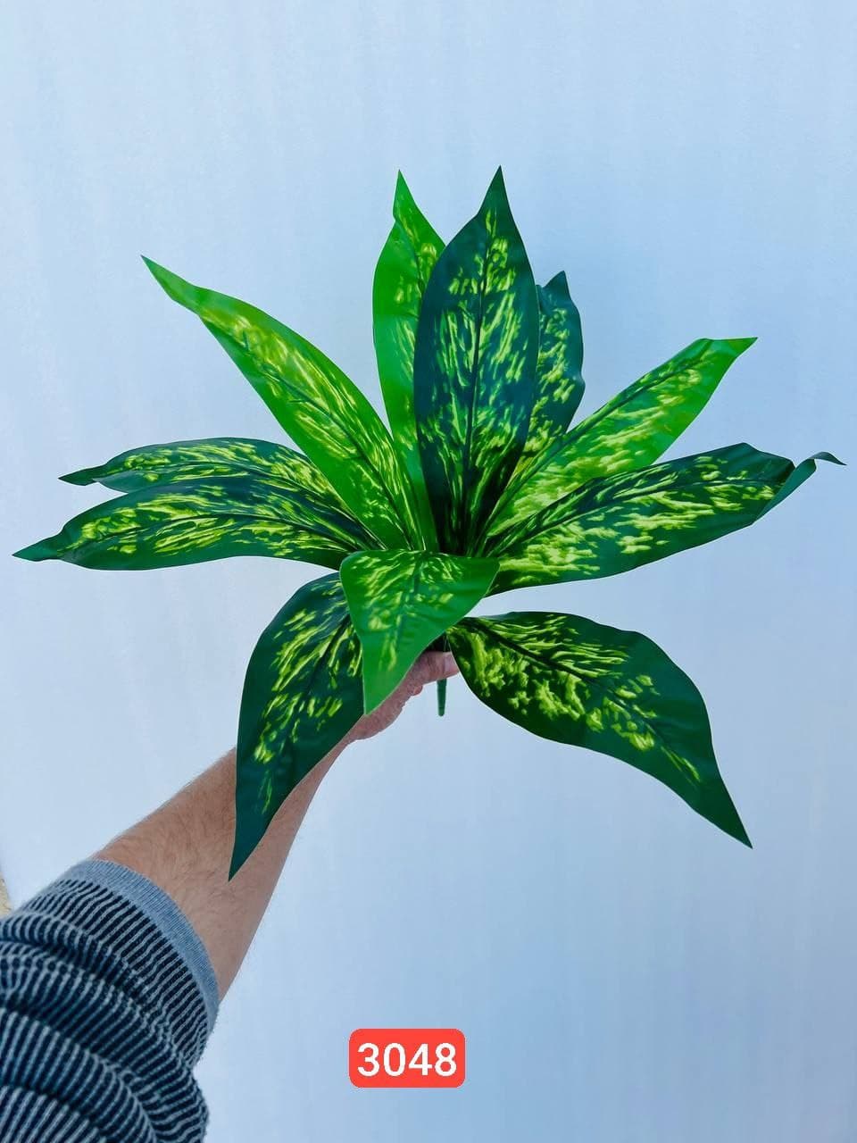 بوته باکسی ۱۲ برگ
