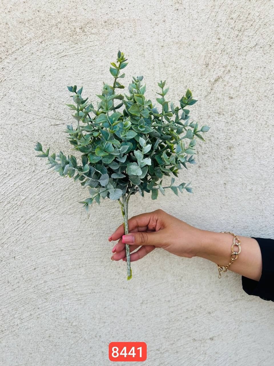 بوته شمشاد پودری