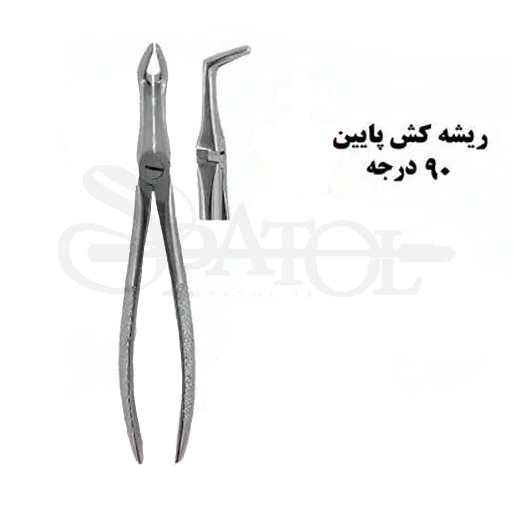 فورسپس ریشه کش پایین کاریزما CHARISMA