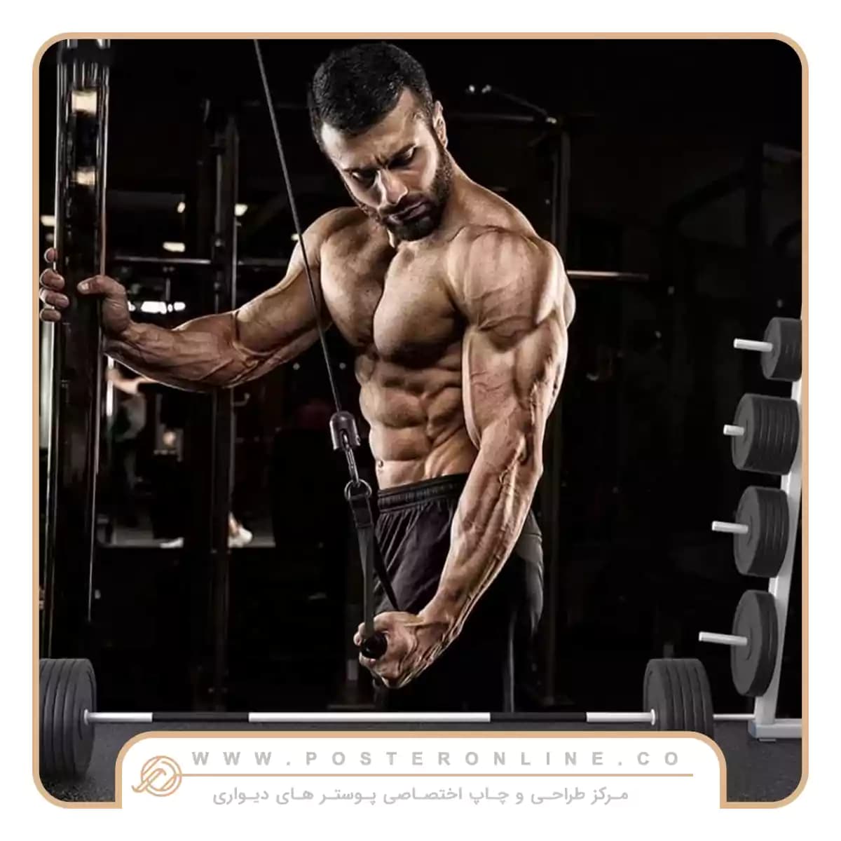 پوستر دیواری بدنسازی جلو بازو کد mt-83980