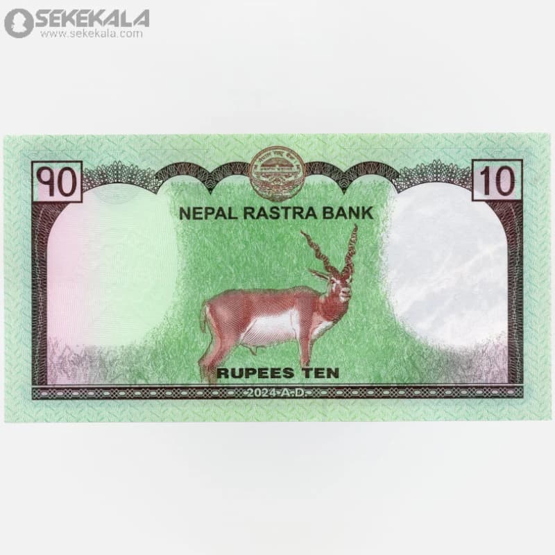 اسکناس 10 روپیه نپال 2024 (UNC) (جمهوری فدرال) — تصویر ۳