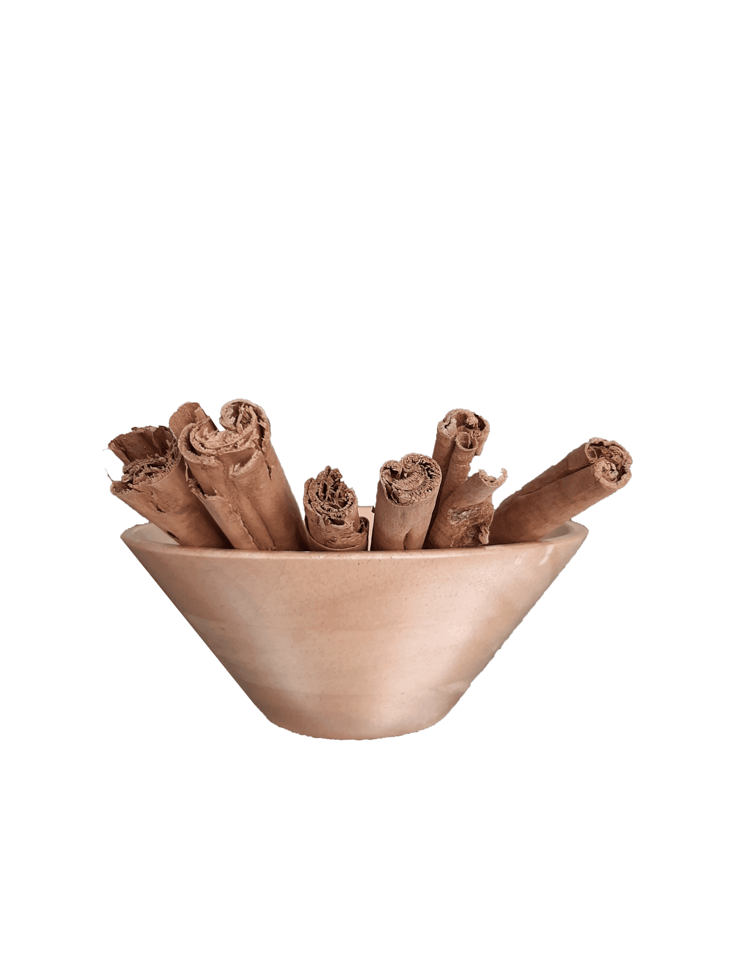 دارچین سیلان 50 گرمی