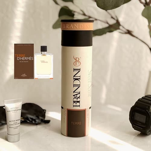 اسپری بدن ضد تعریق برندینی رایحه ادکلن تق هرمس مردانه | Brandini Terre d’Hermes Body Spray حجم 200 میل
