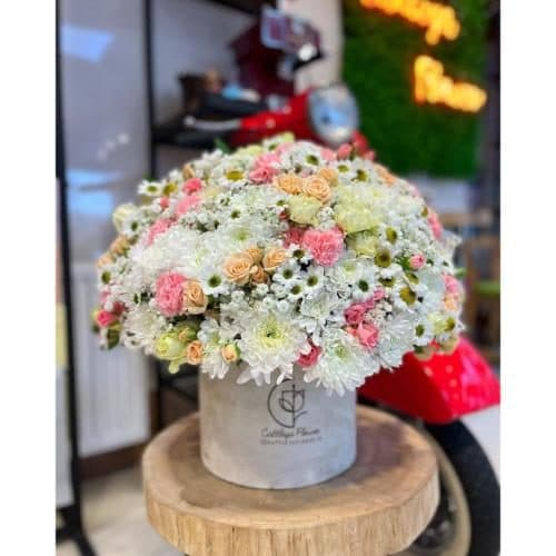 گل و هدیه برای خانه دار هتل pe250
