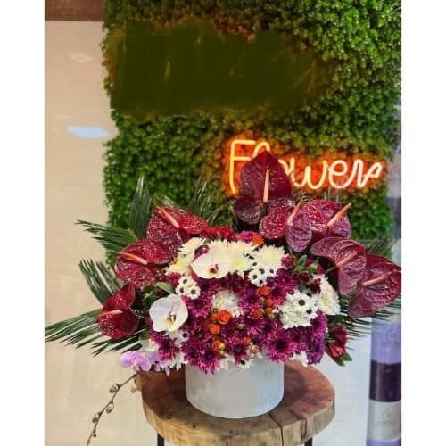 گل و هدیه برای گچ کار pe249