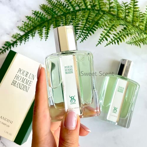 عطر ادکلن مینی کارون پوران هوم(عطر شاه) برندینی | Caron Pour Un Homme Brandini حجم 33 میل