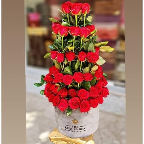 گل و هدیه برای خزانه دار pe132