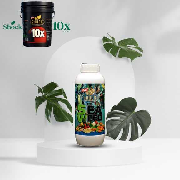 کود جلبک دریایی شوک ۱ لیتری