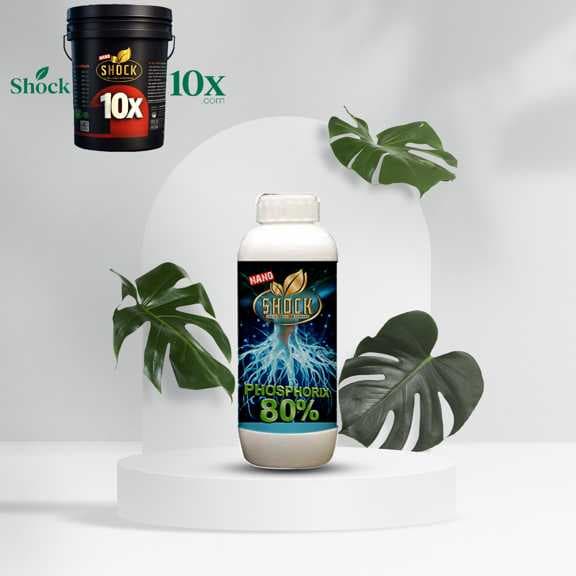 کود فسفر ۸۰ درصد شوک ۱ لیتری