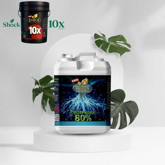 کود فسفر ۸۰ درصد شوک ۵ لیتری