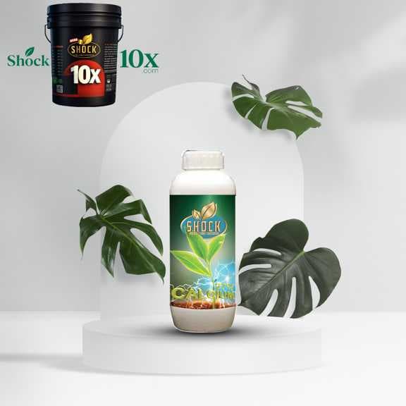 کود کلسیم شوک ۱ لیتری