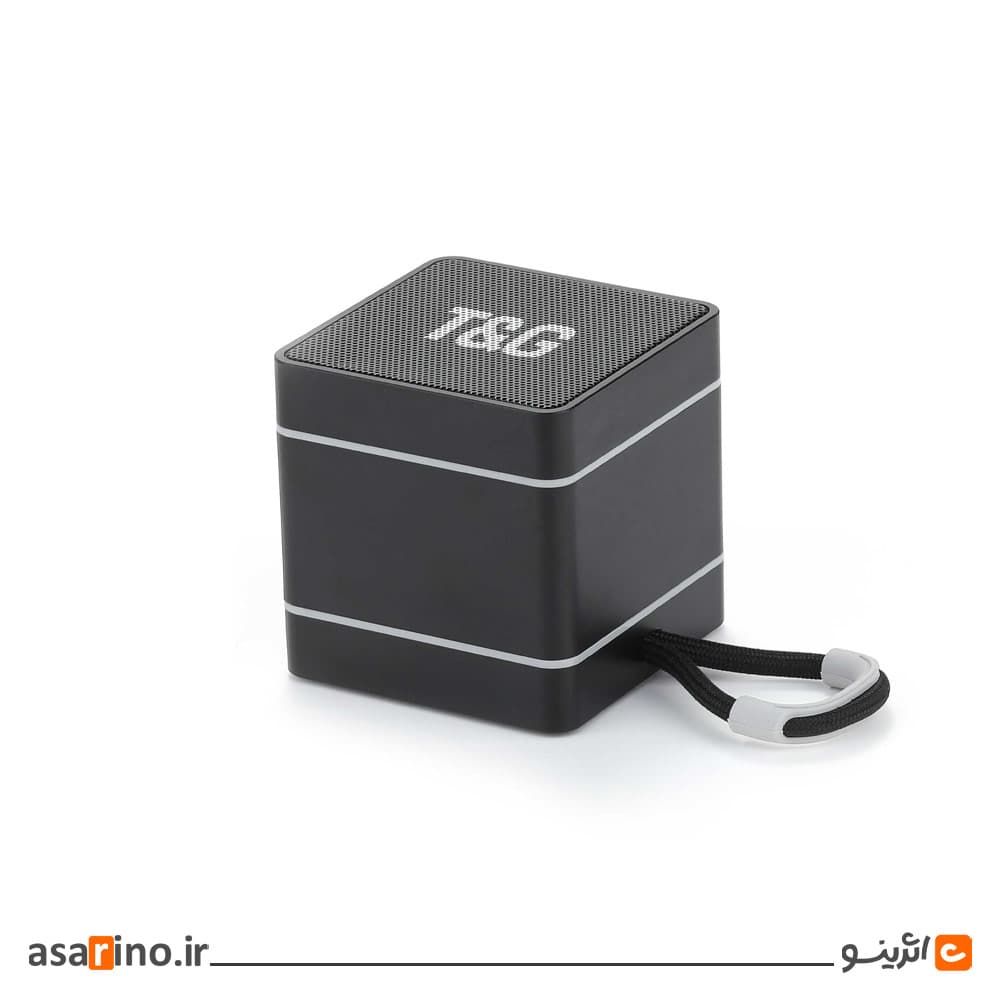 اسپیکر T&G کد E687