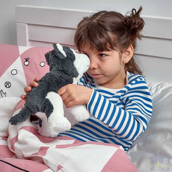 عروسک سگ هاسکی ایکیا مدل LIVLIG