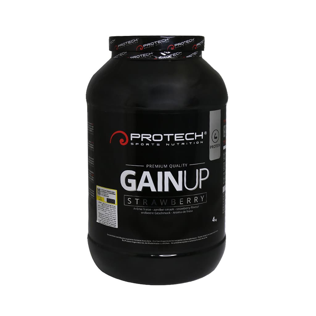 گین آپ 4 کیلوگرم پروتک | GAIN UP 4kg PROTECH