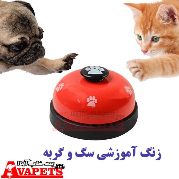 زنگ آموزشی سگ و گربه خارجی