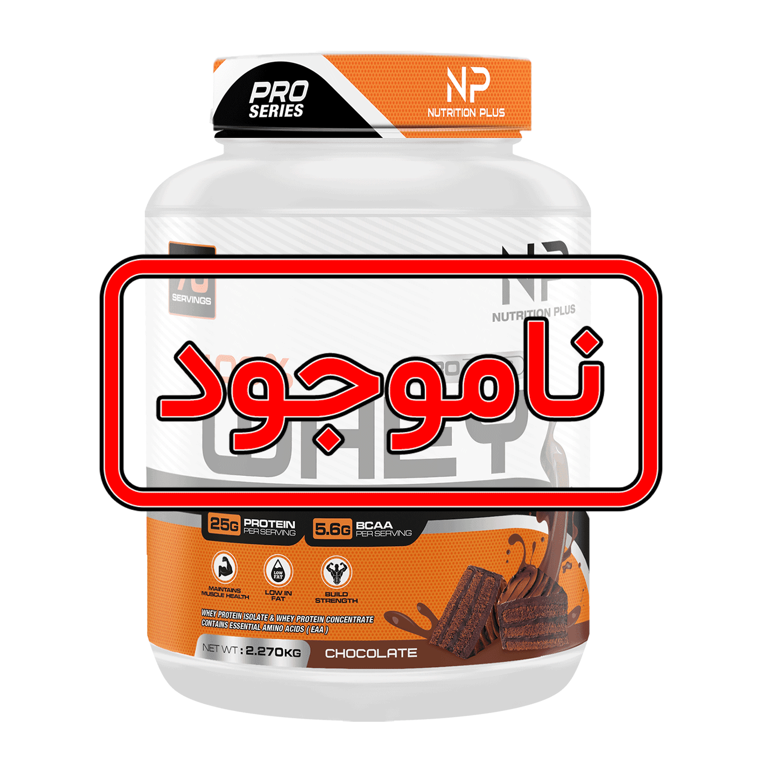 وی پروتئین نوتریشن پلاس | WHEY NP