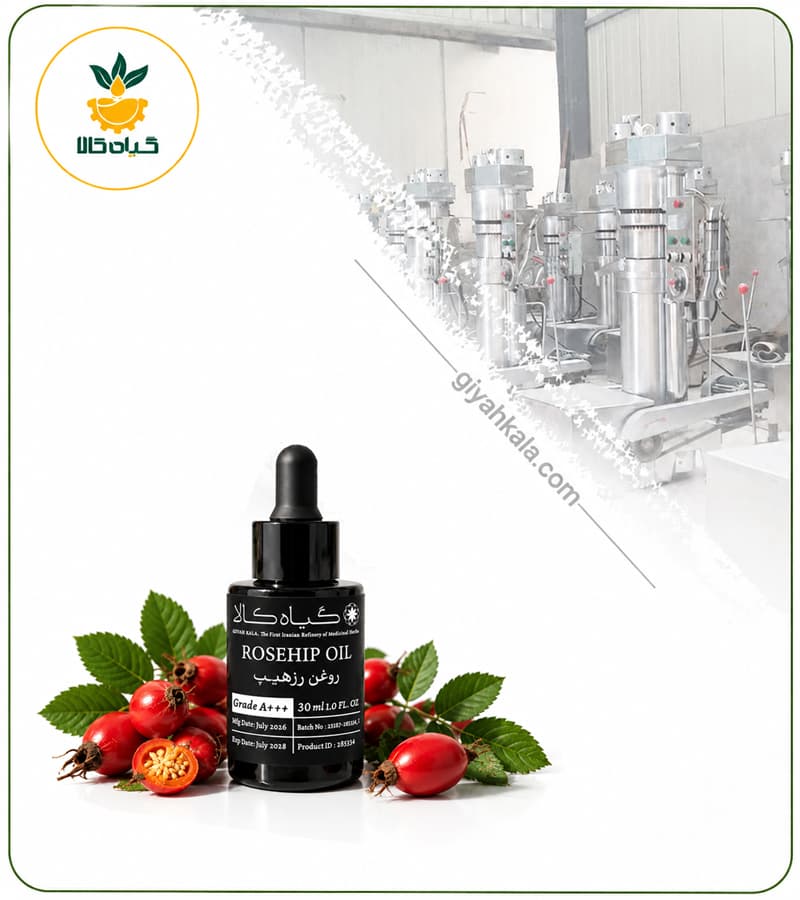 روغن رزهیپ موضعی