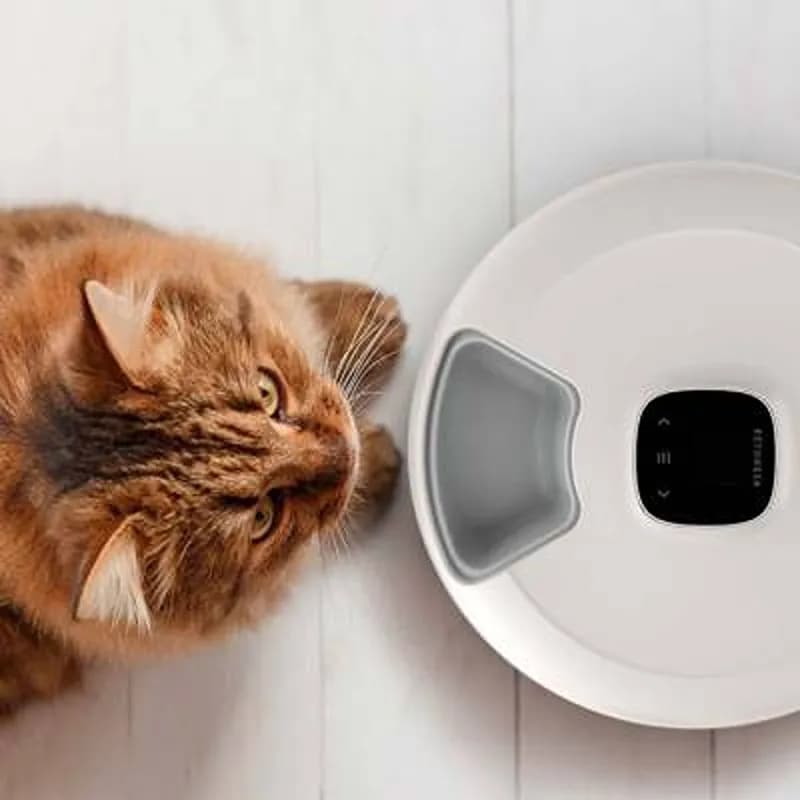 غذا دهنده اتوماتیک حیوانات خانگی شیائومی XIAOMI PETONEER NUTRISPIN 6 MEAL PET FEEDER PF001-M — تصویر ۴