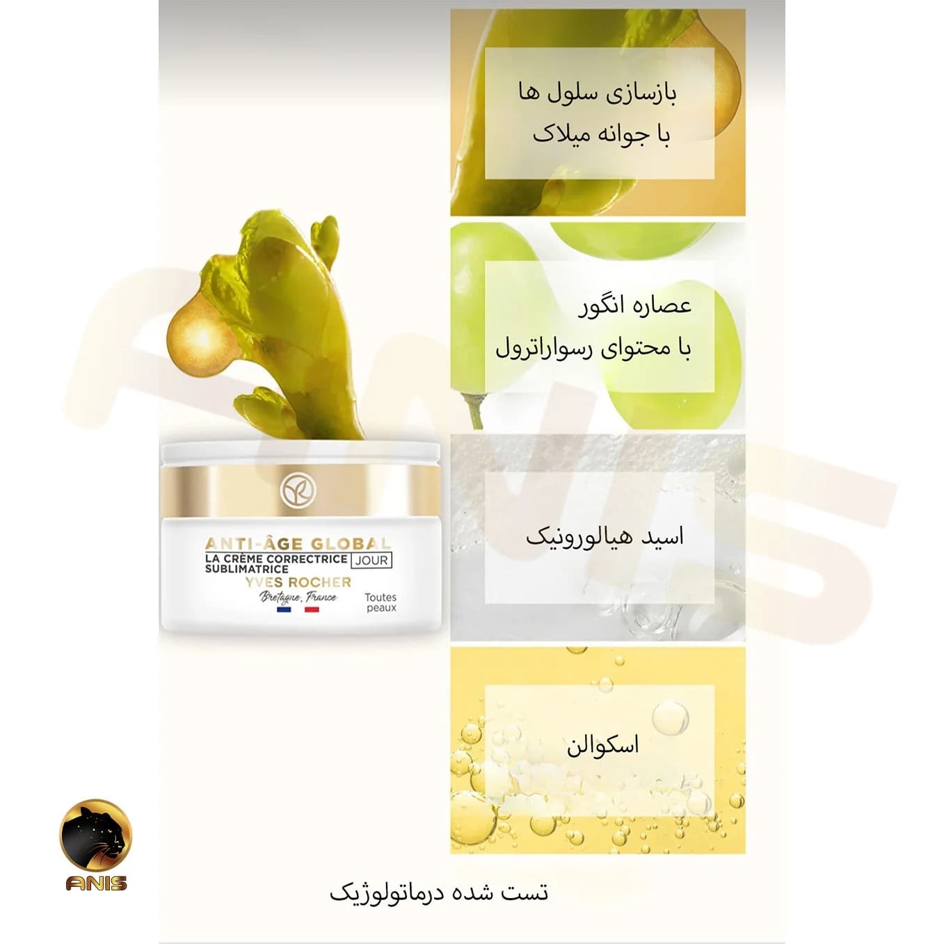کرم روز anti age global ضد چروک و احیا کننده پوست ایوروشه 50 میل — تصویر ۳