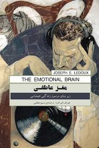 مغز عاطفی