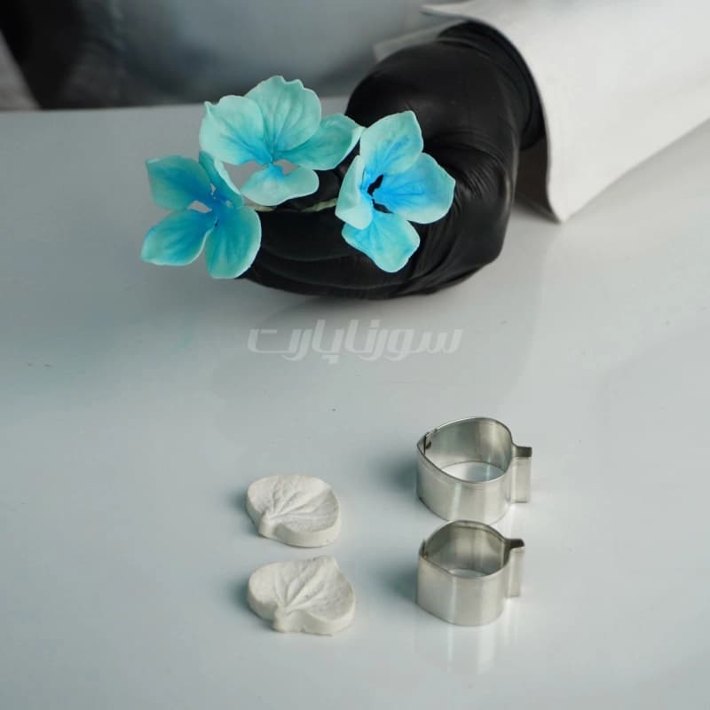 ست ادریسی – سورنا — تصویر ۳