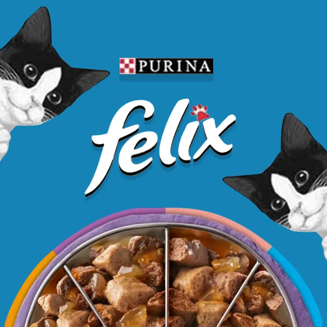 پوچ گربه فلیکس طعم سالمون در ژله Felix Salmon in Jelly وزن 85 گرمی — تصویر ۲