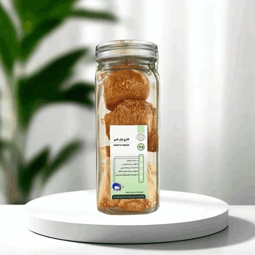 قارچ دارویی یال شیر آران
