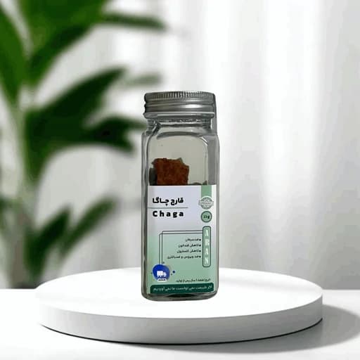 قارچ دارویی چاگا آران