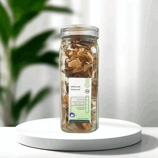 قارچ دارویی مایتاکه وارداتی اصل خشک