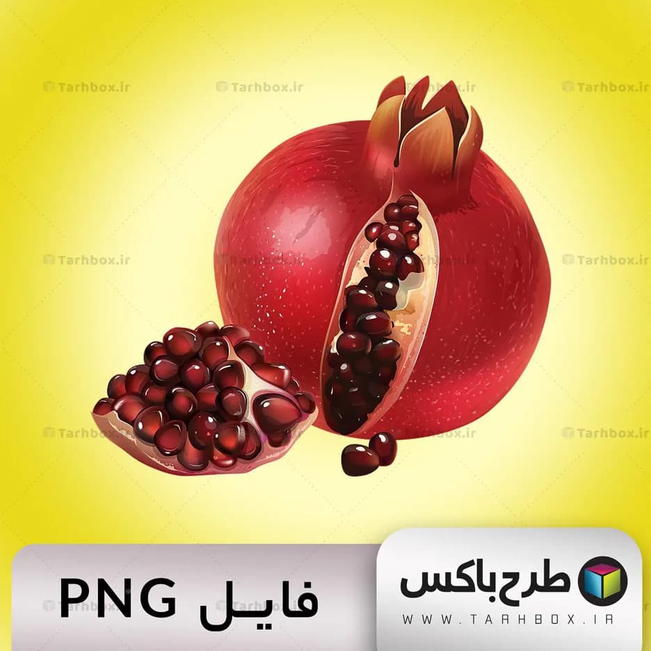وکتور انار