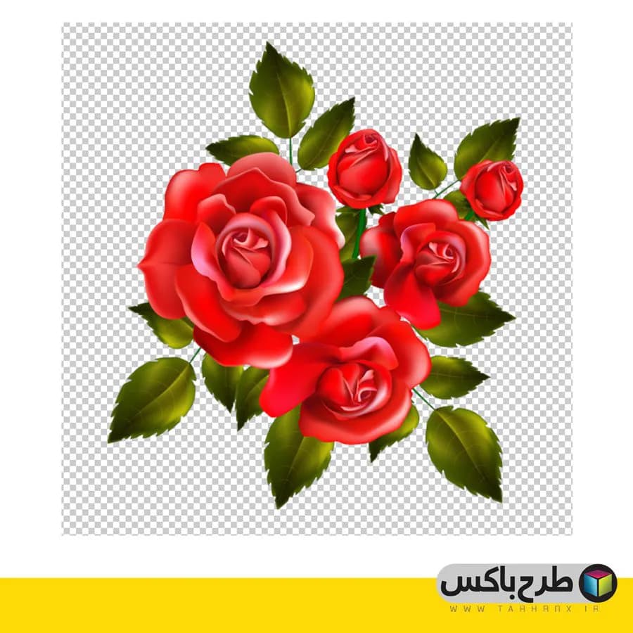 دانلود png گل برای فتوشاپ