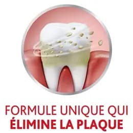 خمیردندان پارادونتکس Protection Fluor حجم 75 میل — تصویر ۳