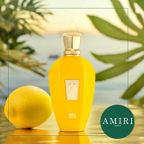 عطر ادکلن زرجف اربا گلد | XerJoff Erba Gold — تصویر ۷