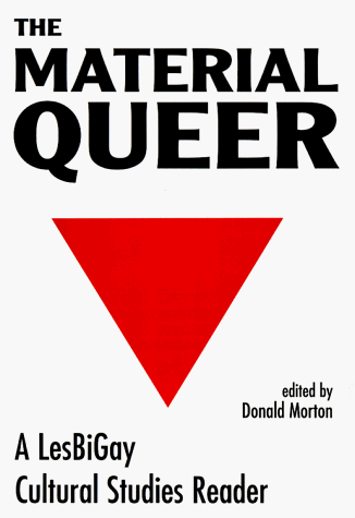 کتاب The Material Queer: A Lesbigay Cultural Studies Reader (Queer Critique) — تصویر ۲