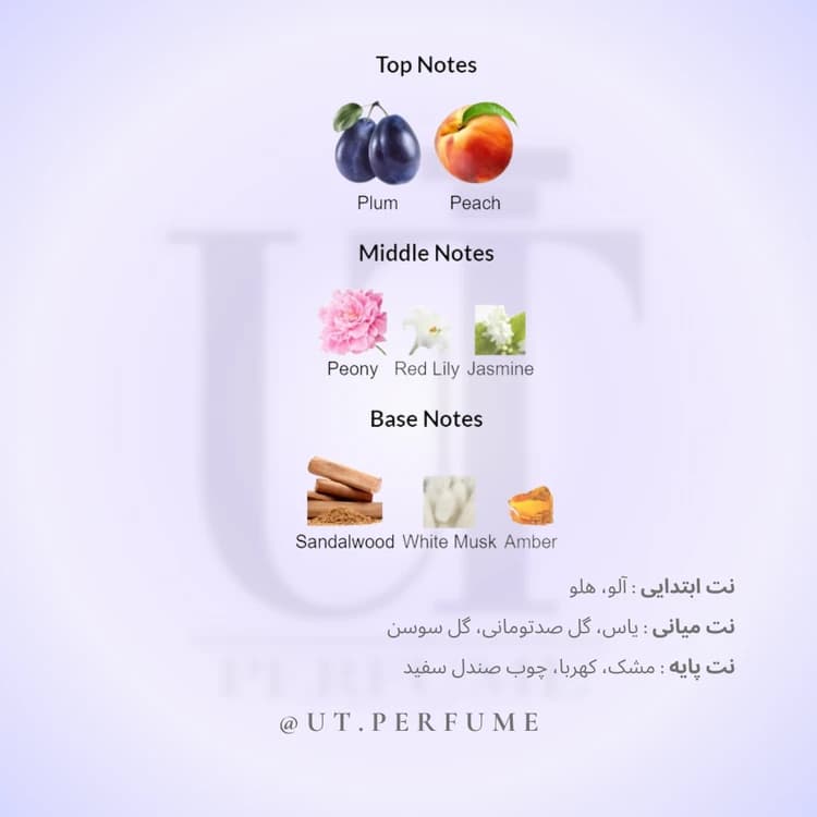 عطر سالواتوره فراگامو اینکانتو – Salvatore Ferragamo Incanto زنانه — تصویر ۶