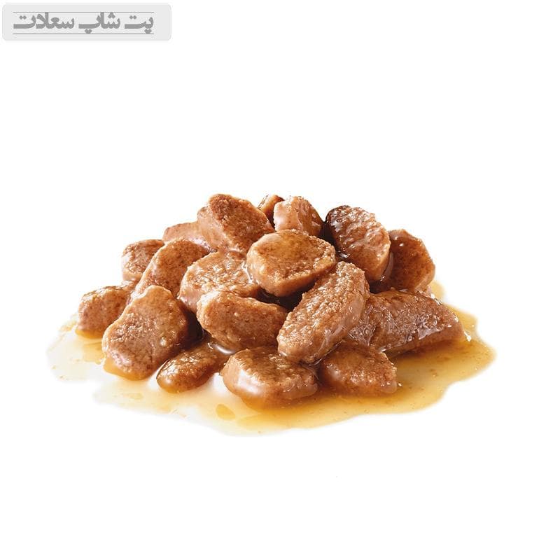 پوچ گربه مراقبت دستگاه ادراری رویال کنین Royal Canin Urinary Care وزن 85 گرم — تصویر ۳