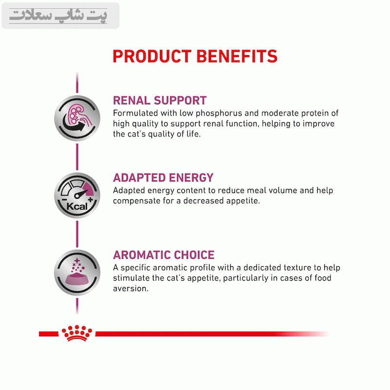 پوچ گربه رنال رویال کنین با طعم مرغ Royal Canin Renal Chicken وزن ۸۵ گرم — تصویر ۴